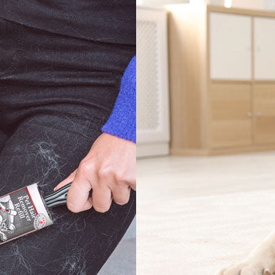 Caraselle Pet Hair Remover Lint Rollers - Last Fur-Ever!
