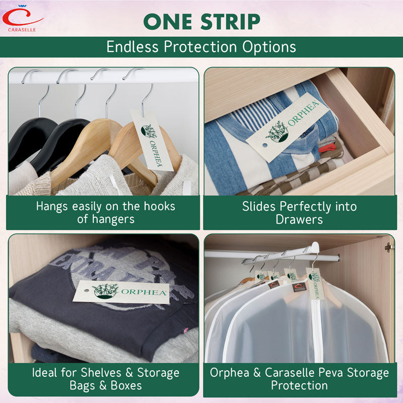 Orphea and Caraselle Peva storage protection options with text on a green background.