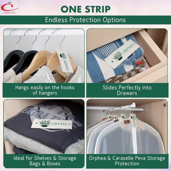 Orphea and Caraselle Peva storage protection options with text on a green background.